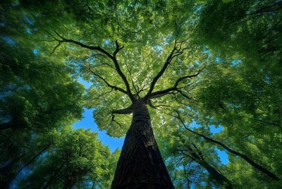 无痕HOOK的实现 利用VEH机制