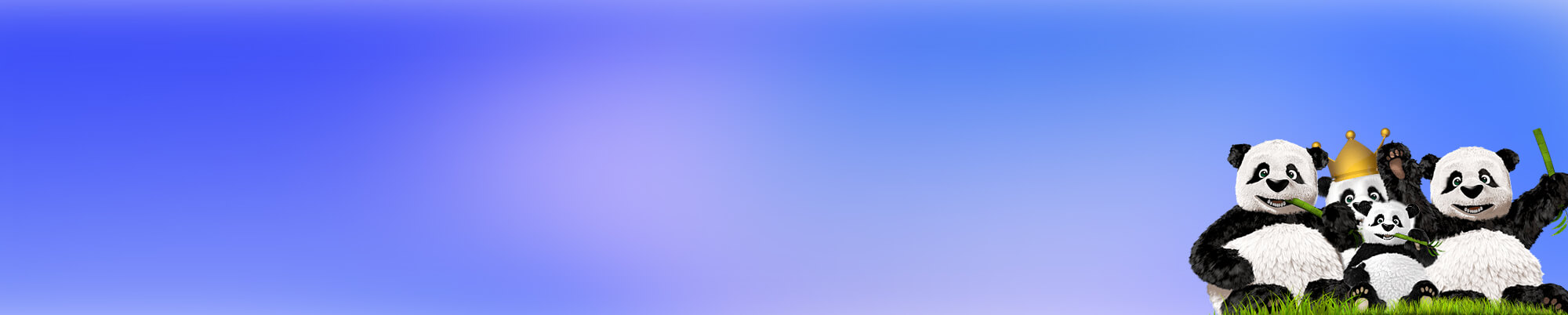 各种网络验证研究